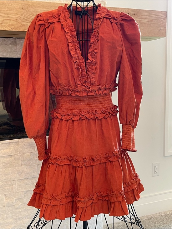 House of Harlow 1960 Dresses & Skirts - House of Harlow 1960 Rust Orange Ruffle Mini Dress